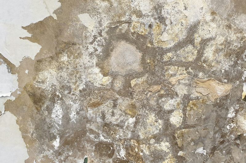 Peeling paint on a wall affected by moisture